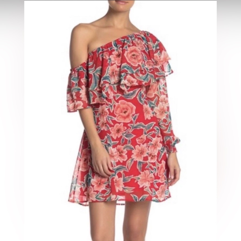 Show me your mumu Watson mini red floral dress